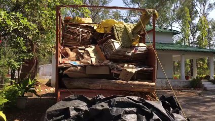 वन विभाग ने लाखों रुपए की सागौन पकड़ी