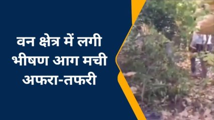 वन क्षेत्र में अचानक लगी भीषण आग, मची अफरा-तफरी