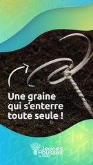 Planter des graines sans gaspillage grâce à E-seed