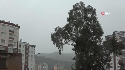 Aşırı rüzgar Kozan'da ağaçları devirdi