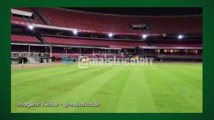 Download Video: Gramado do Morumbi está preparado para receber os próximos jogos do São Paulo em casa