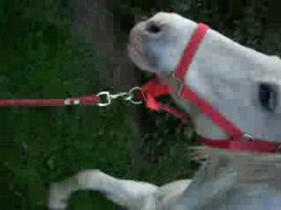 Photo 044