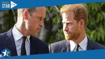 Harry de retour à Londres en secret : le prince William a-t-il prévu de voir son petit frère ?