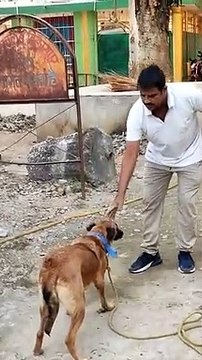 Dog Rosie succeeded in solving 16 such blind murders in cases where