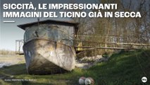 Siccità, le impressionanti immagini del Ticino già in secca
