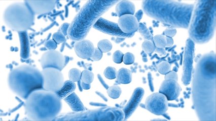 Keys to Improving Your Gut Health