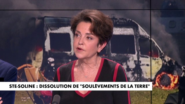 Judith Waintraub : «Soulèvements de la Terre s’est rendu coupable […] de plusieurs actions de sabotage»