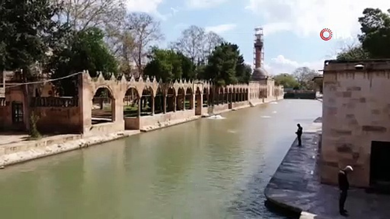 Önce deprem sonra sel korkutmuştu! Balıklıgöl’ün balıkları ortaya çıktı