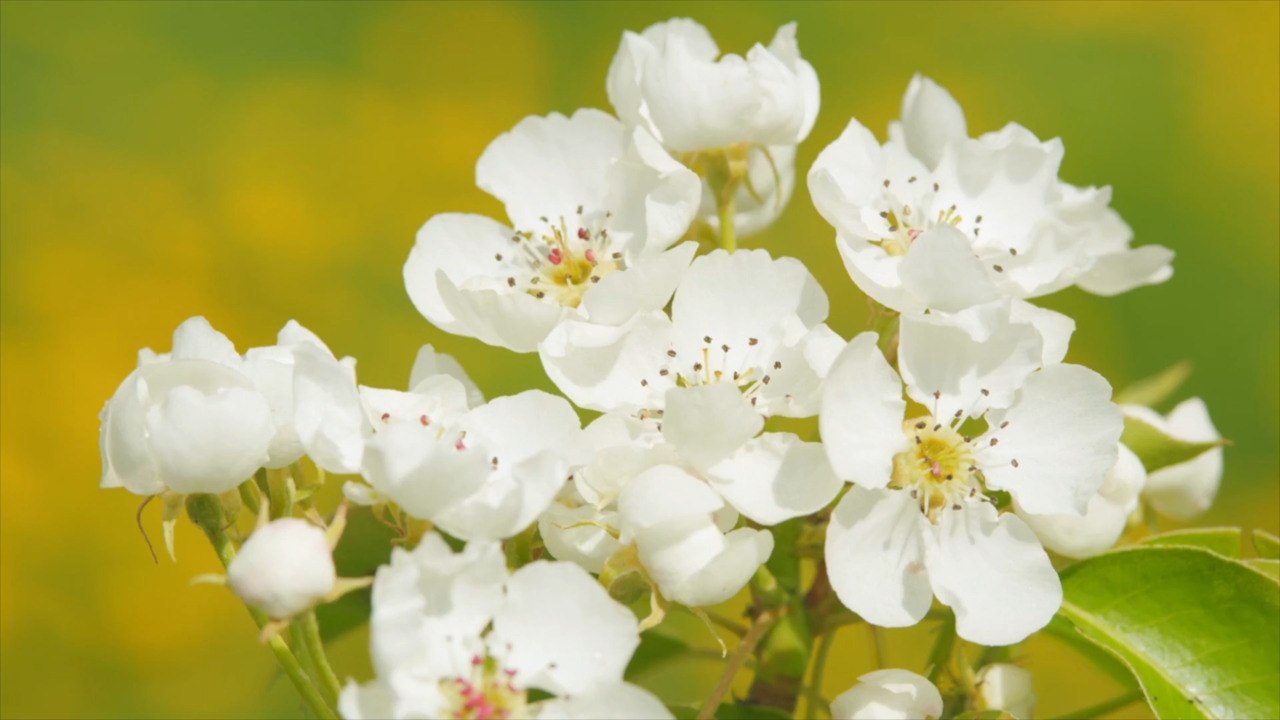 The Top 5 Outdoor Design Trends of 2023, According to the Experts