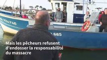 Ports morts : des bateaux de pêche bloquent le port de Bayonne