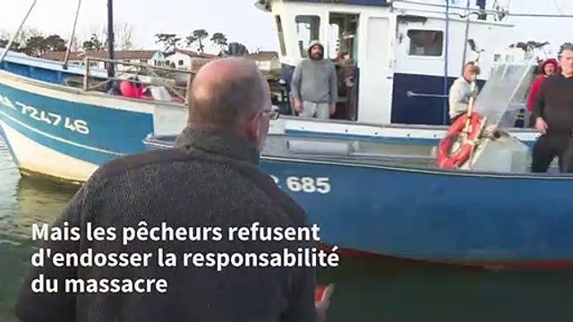 Ports morts : des bateaux de pêche bloquent le port de Bayonne