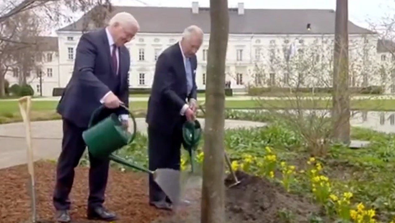 King Charles plants tree in memory of Queen with German president during Berlin visit