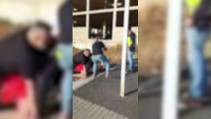 La Policía Nacional dispara a tres perros en el sur de Tenerife (Camara FPV)