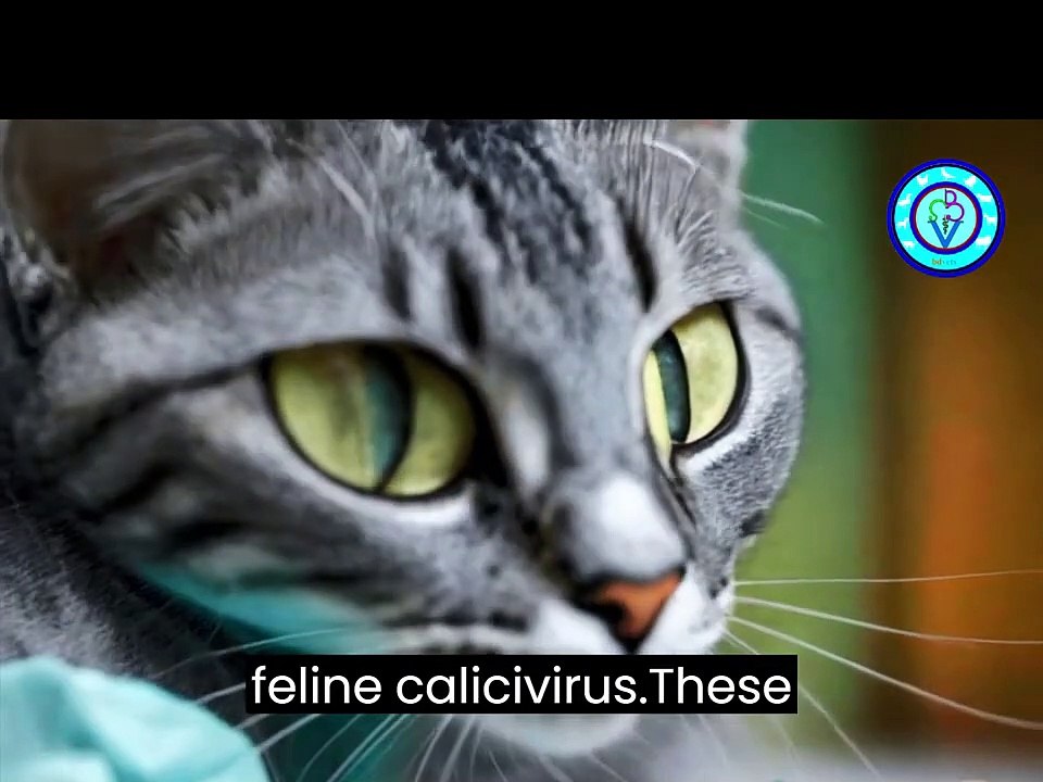 Upper Respiratory Disease in Cats_ Causes, Symptoms, Treatment, and Case Study