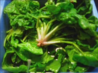French cooking lesson 2-spinach