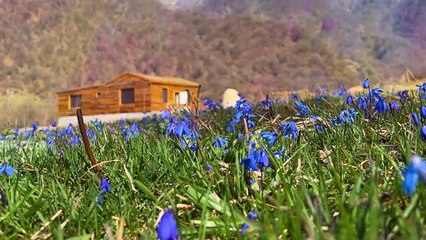 Life in a Mountain Village! Cooking Fish in a Pit according to a Family Recipe