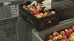 Produtores de maçã de Carrazeda de Ansiães não acreditam que IVA zero vá aumentar vendas