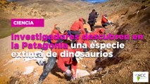 Investigadores descubren en la Patagonia una especie extinta de dinosaurios