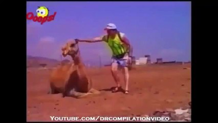 When animal attack human ,rhino, elephant attack funny compilation 2015 (4)