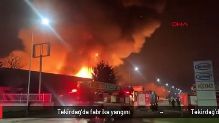 Tekirdağ'da fabrika yangını