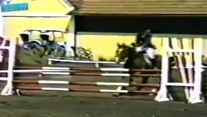 Best Funny Animal Attacks- Wins & Fails Compilation 2015