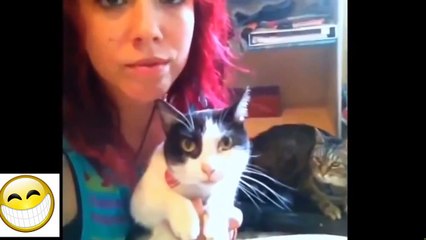 Funny cat 2015 - Funny Cats 2015 - Funny Cat Compilation 2015 - Funny Cat Video 2015