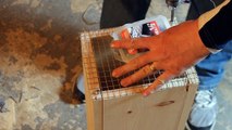 How to Make a Squirrel Trap - DIY catch alive trap