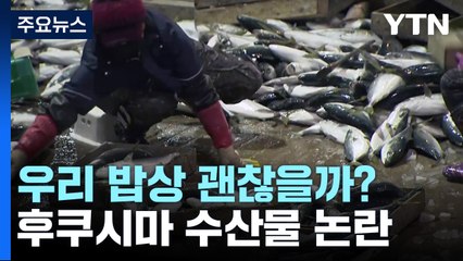 [뉴스라이더] 후쿠시마 수산물 수입 재개 논란...우리 밥상 안전은? / YTN