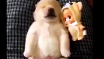 Приколы с животными Смешные животные Funny animal