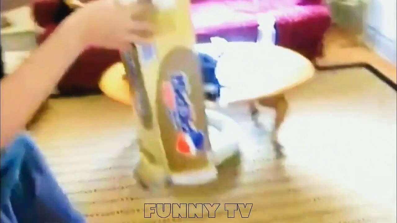 Funny Cats Compilation - Funny Animals Cartoons - Funny Cat Videos - Funny Animal 2015