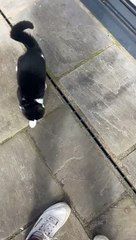 Bow Experiences Wind for the First Time