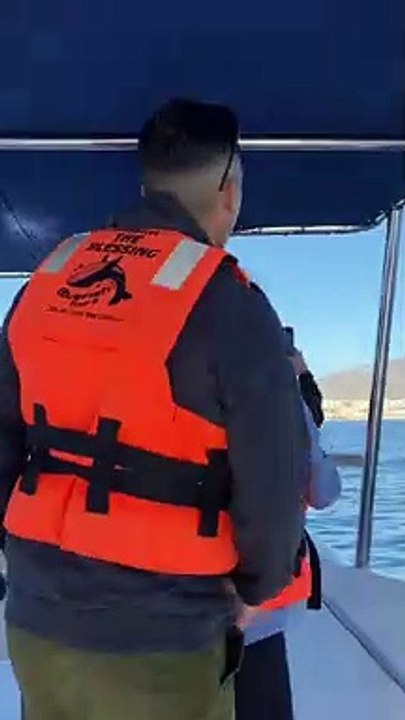 Humpback Whale Breaches Right Next to Boat