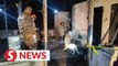 Four children killed in Muar house fire