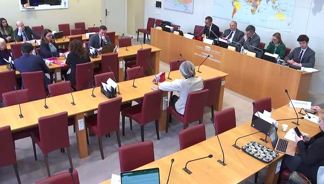 Commission des affaires étrangères : M. Yann Hwang, chargé de mission à la direction des affaires stratégiques, de sécurité et du désarmement du ministère de l’Europe et des affaires étrangères - Mercredi 29 mars 2023