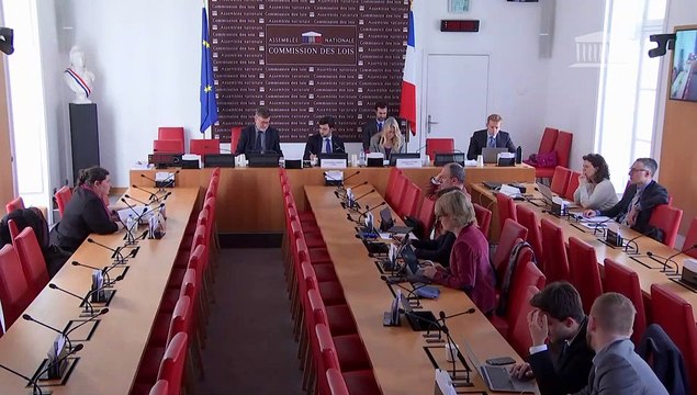 Ingérences politiques, économiques et financières de puissances étrangères : Mme Cécile Vaissié, professeur en études russes et soviétiques ; M. Nicolas Tenzer, pdt du Centre d’étude et de réflexion pour l’action politique (CERAP) - Mercredi 29 mars 2023