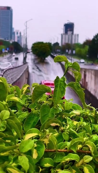 Islamabad beautiful weather ♥️