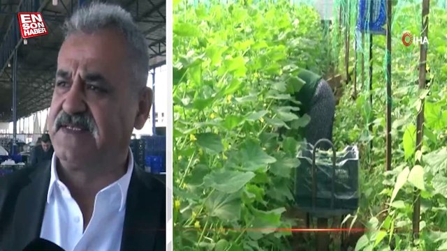 Havaların ısınmasıyla meyve ve sebze fiyatlarında düşüş yaşandı