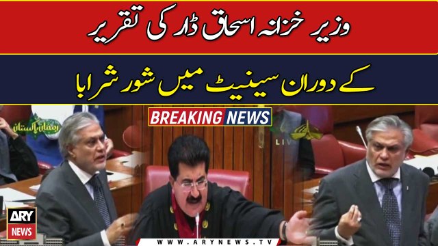 Ruckus during Ishaq Dar's speech in Senate