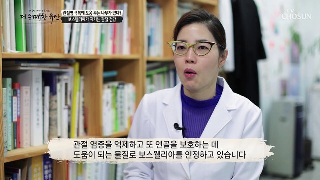 통증은 사라지고 튼튼한 관절 건강을 돕는 ‘보스웰리아’ TV CHOSUN 230330 방송