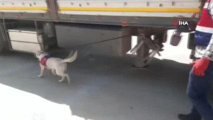 Yol uygulamasında uyuşturucu ve kaçakçılık malzemesi ele geçirildi