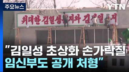 정부, 북한인권보고서 첫 공개 발간..."임신부도 공개처형" / YTN