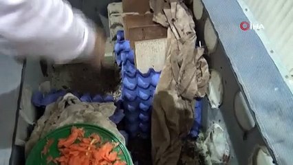 Hamam böceklerini gelir kapısı yaptı! Yok artık diyeceksiniz...