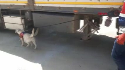 ŞANLIURFA'DA KAÇAKÇILIK OPERASYONLARINDA 26 GÖZALTI