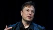 Elon Musk joins experts warning ‘out of control’ AI advances could pose ‘profound risks’