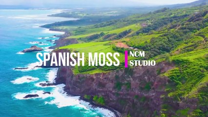 Spanish Moss - Chris Haugen- Ambient Music, Inspirational Music @NCMstudio18