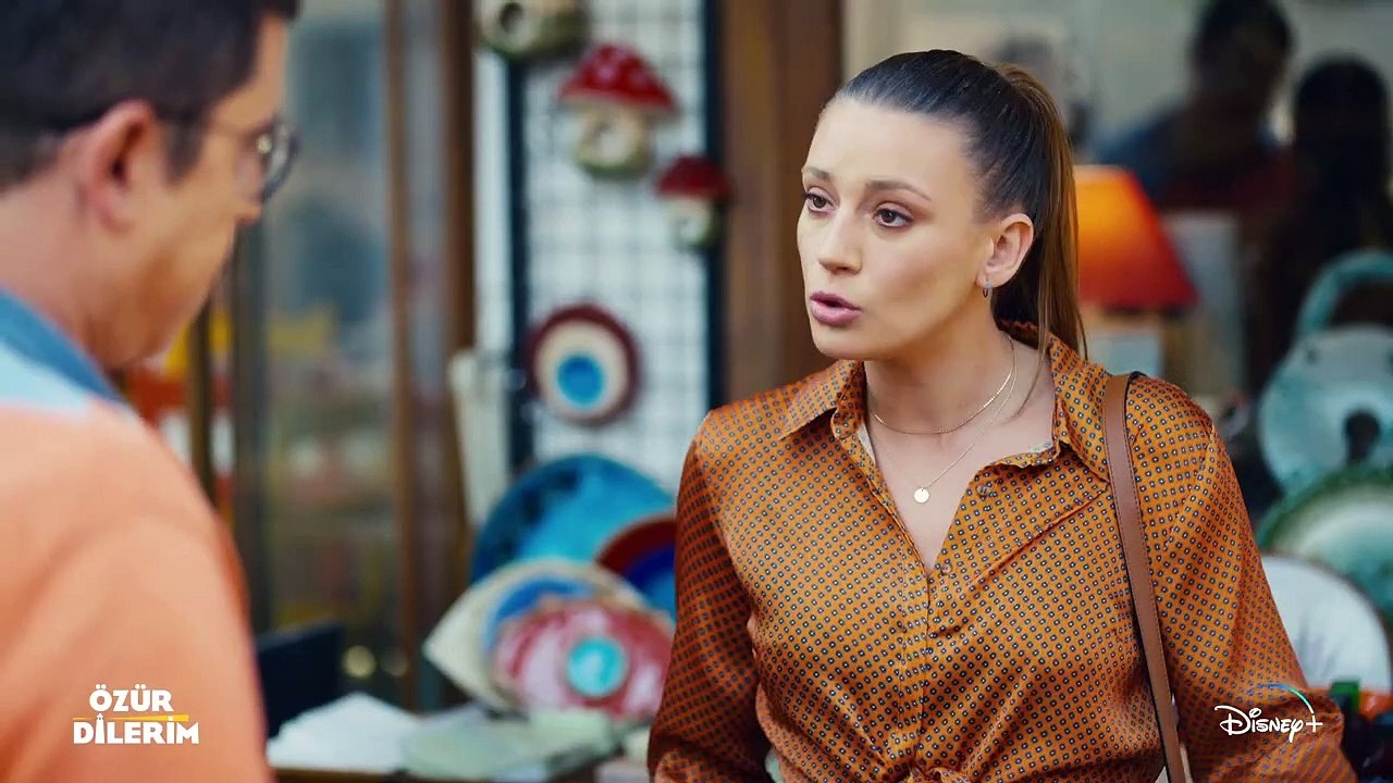 My apologies teaser ov