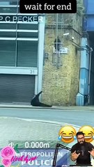 Tranding  Tranding Videos Today  Tranding Shorts #tranding #trandingshorts #shorts #viral 30-3-23 (2)