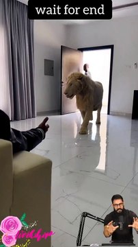 Tranding Tranding Videos Today Tranding Shorts #tranding #trandingshorts #shorts #viral 30-3-23 (6)