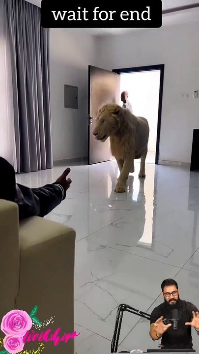 Tranding  Tranding Videos Today  Tranding Shorts #tranding #trandingshorts #shorts #viral 30-3-23 (6)