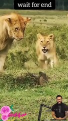 Tranding  Tranding Videos Today  Tranding Shorts #tranding #trandingshorts #shorts #viral 30-3-23 (8)